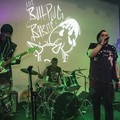 Click to enlarge GutterPunk - Professional Concert Photography